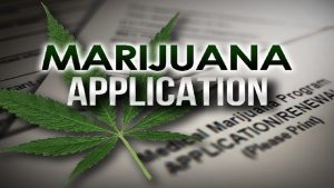 Applications for marijuana cultivation
