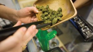 Marijuana dispensary permits