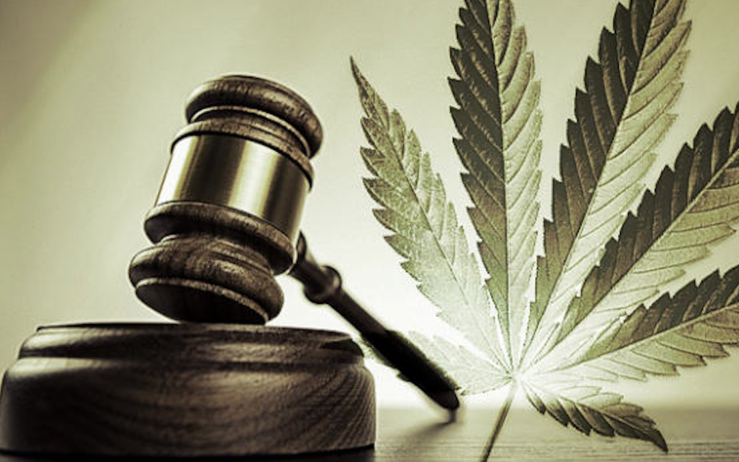 Cannabis law firm
