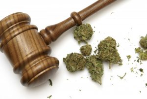 Cannabis Business Law Company